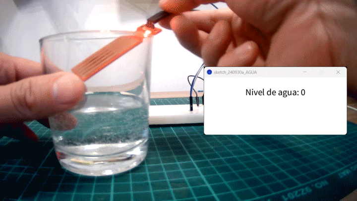 Sensor de nivel de agua y visualización